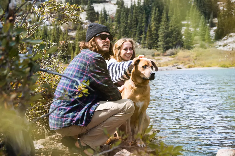 My Dog Rox: NoCo’s Best Hiking Dog Wins $300 In Prizes